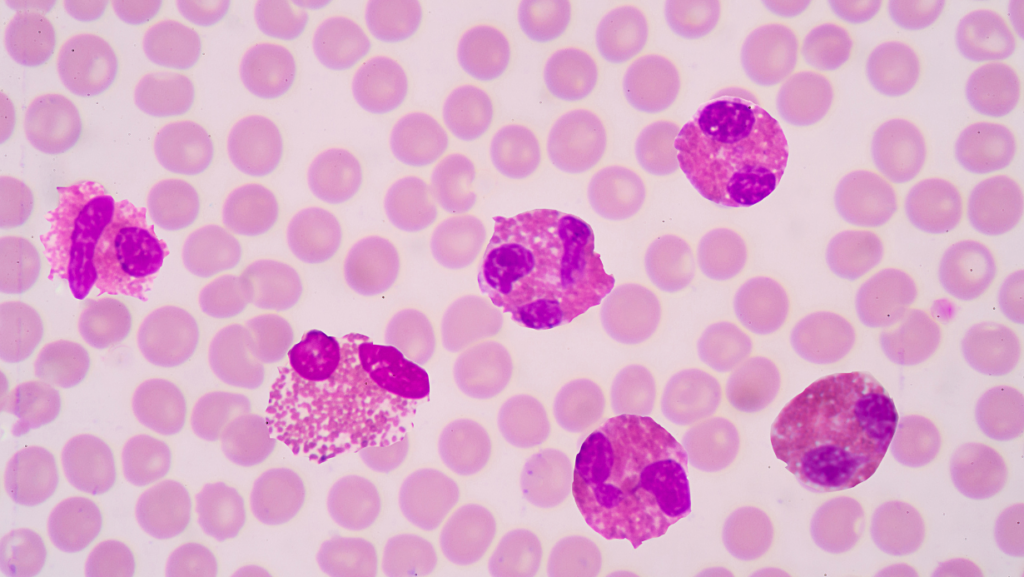 Eozynofile - bakterie