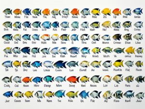 nazwy ryb alfabetycznie,